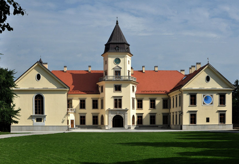Zamek Tarnowskich w Dzikowie